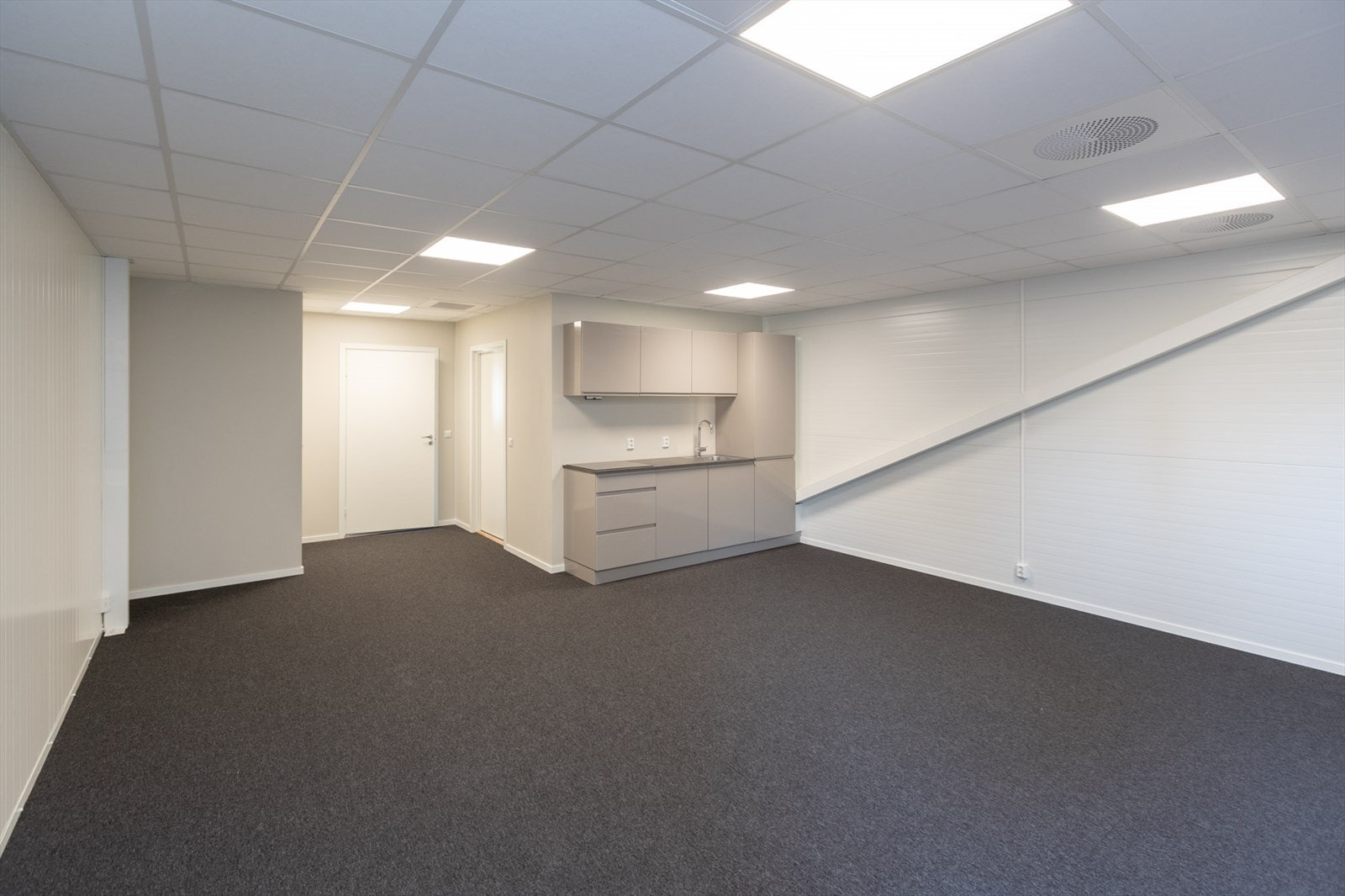 Torvstikkeren-1b Galleribilde