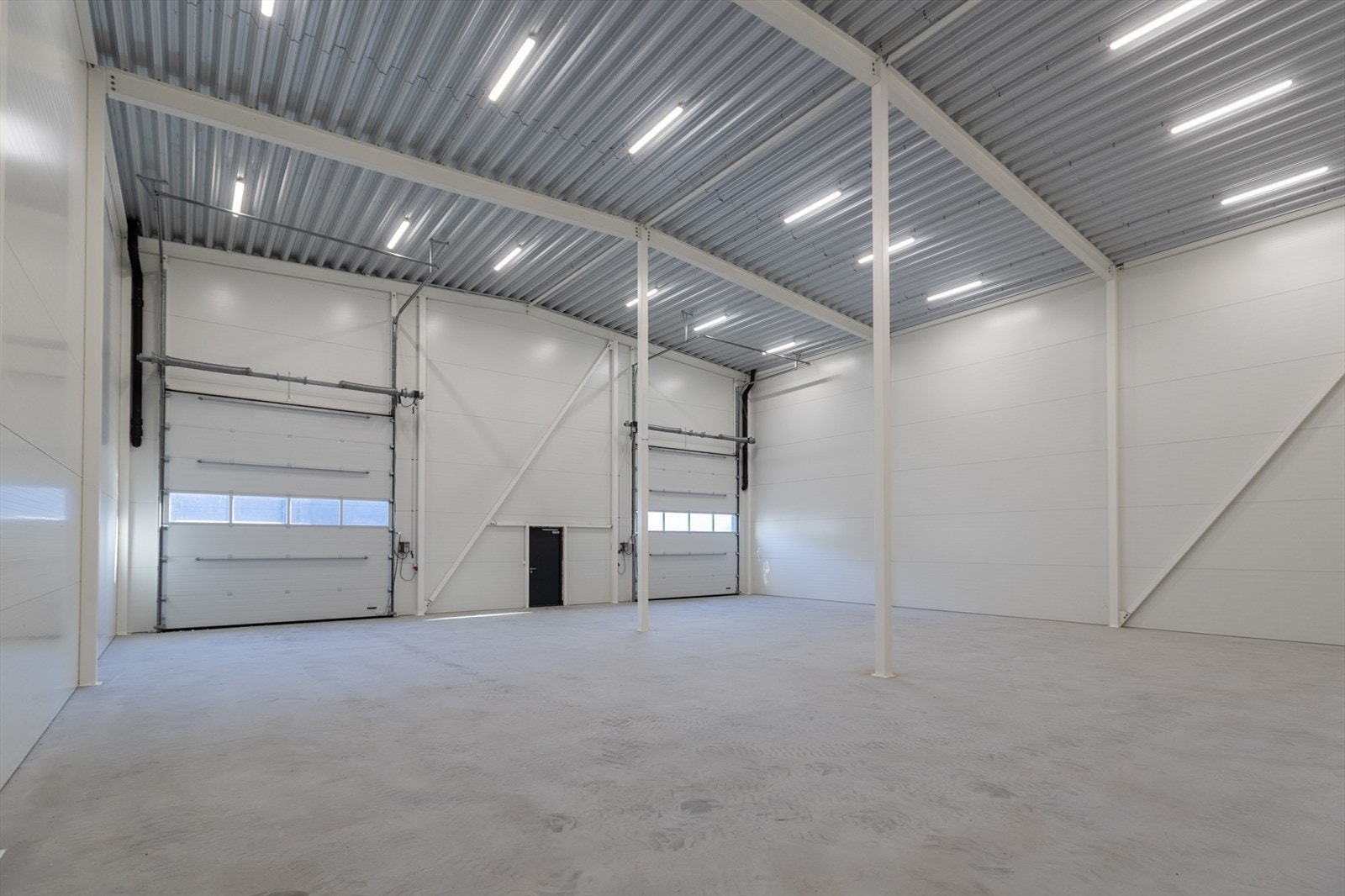 Torvstikkeren-1b Galleribilde