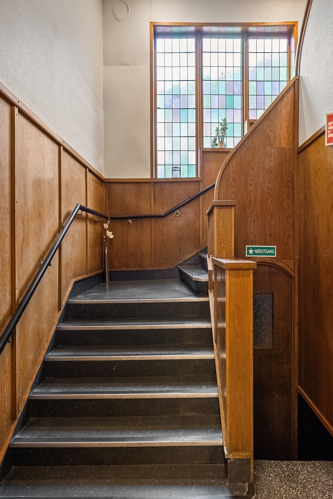 DSCF6238.jpg Galleribilde