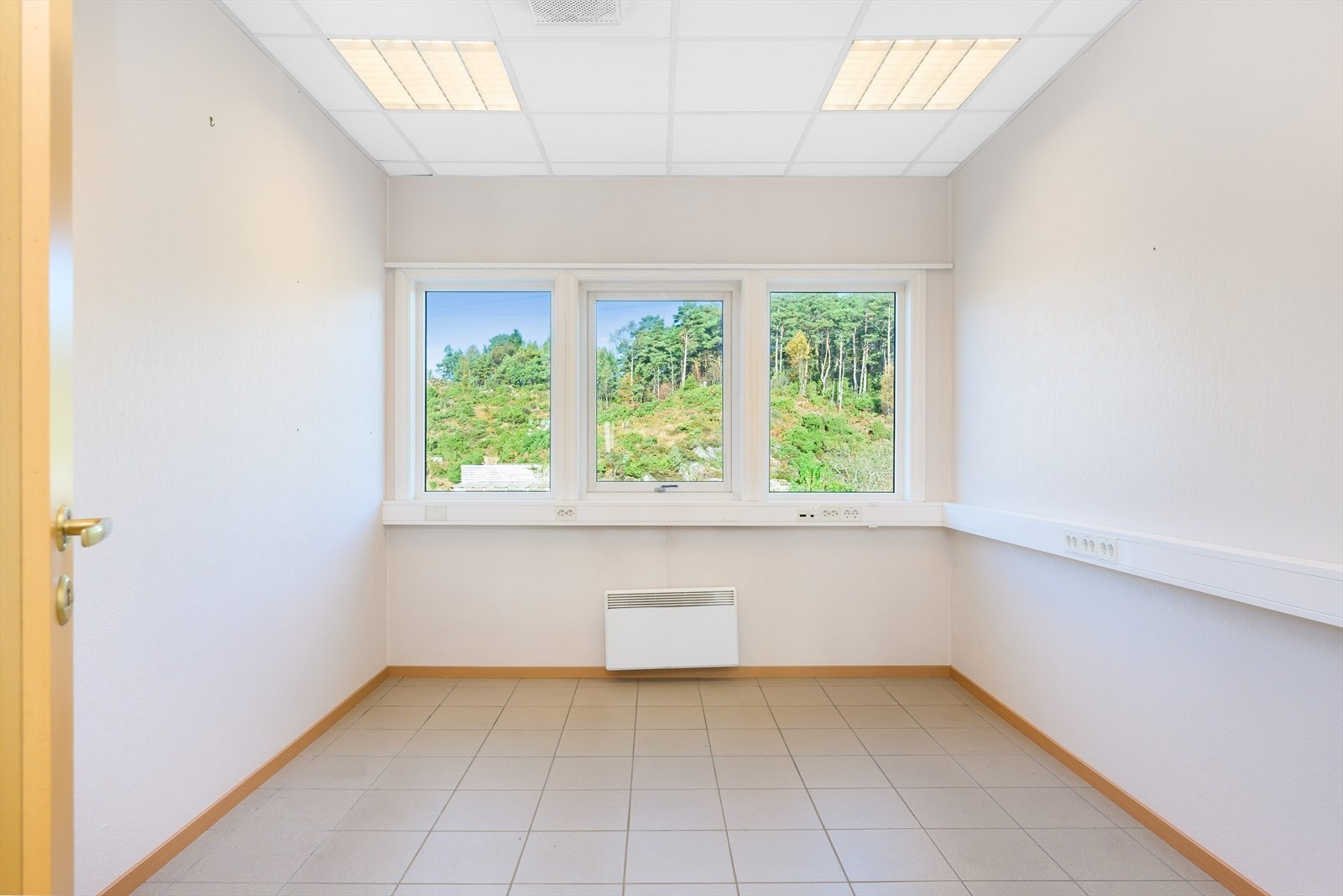 Standard cellekontor. Galleribilde