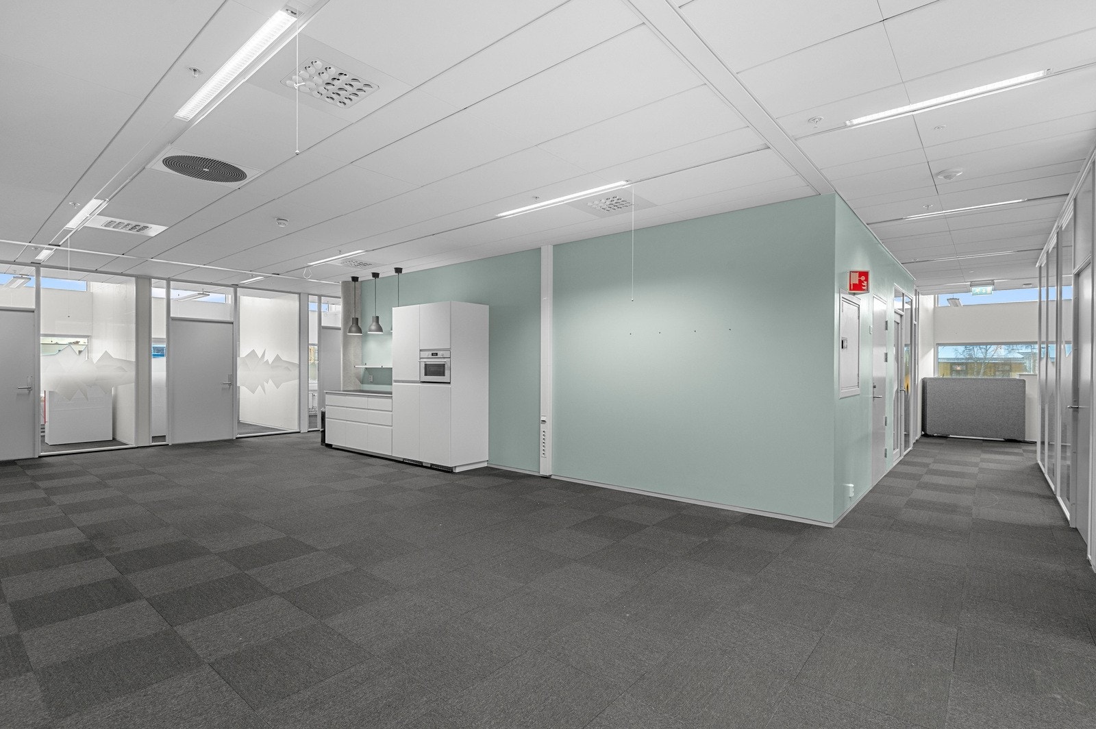 HAW_2204.jpg Galleribilde