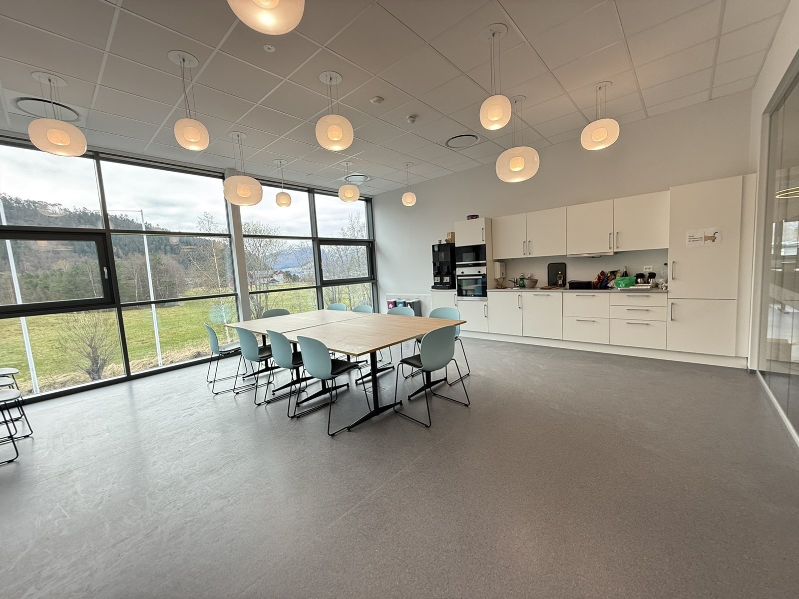 IMG_6486.JPEG Galleribilde