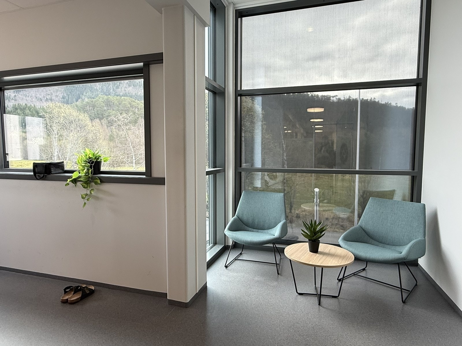 IMG_6491.JPEG Galleribilde