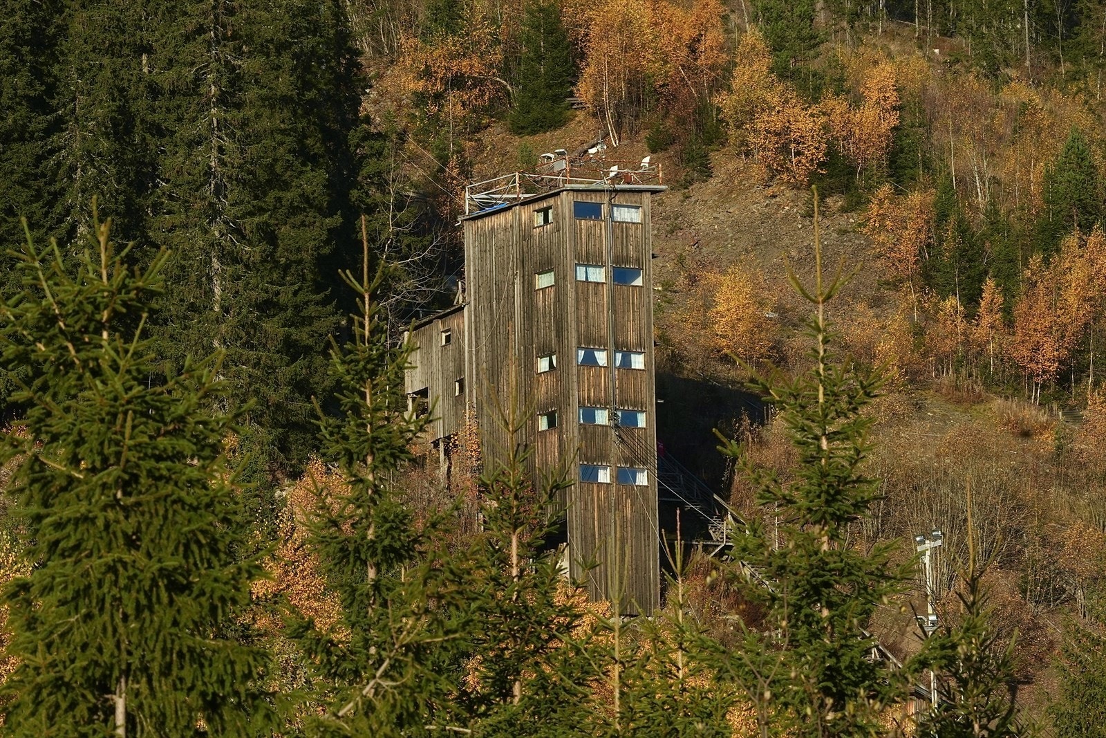 En del skog i området rundt. Galleribilde