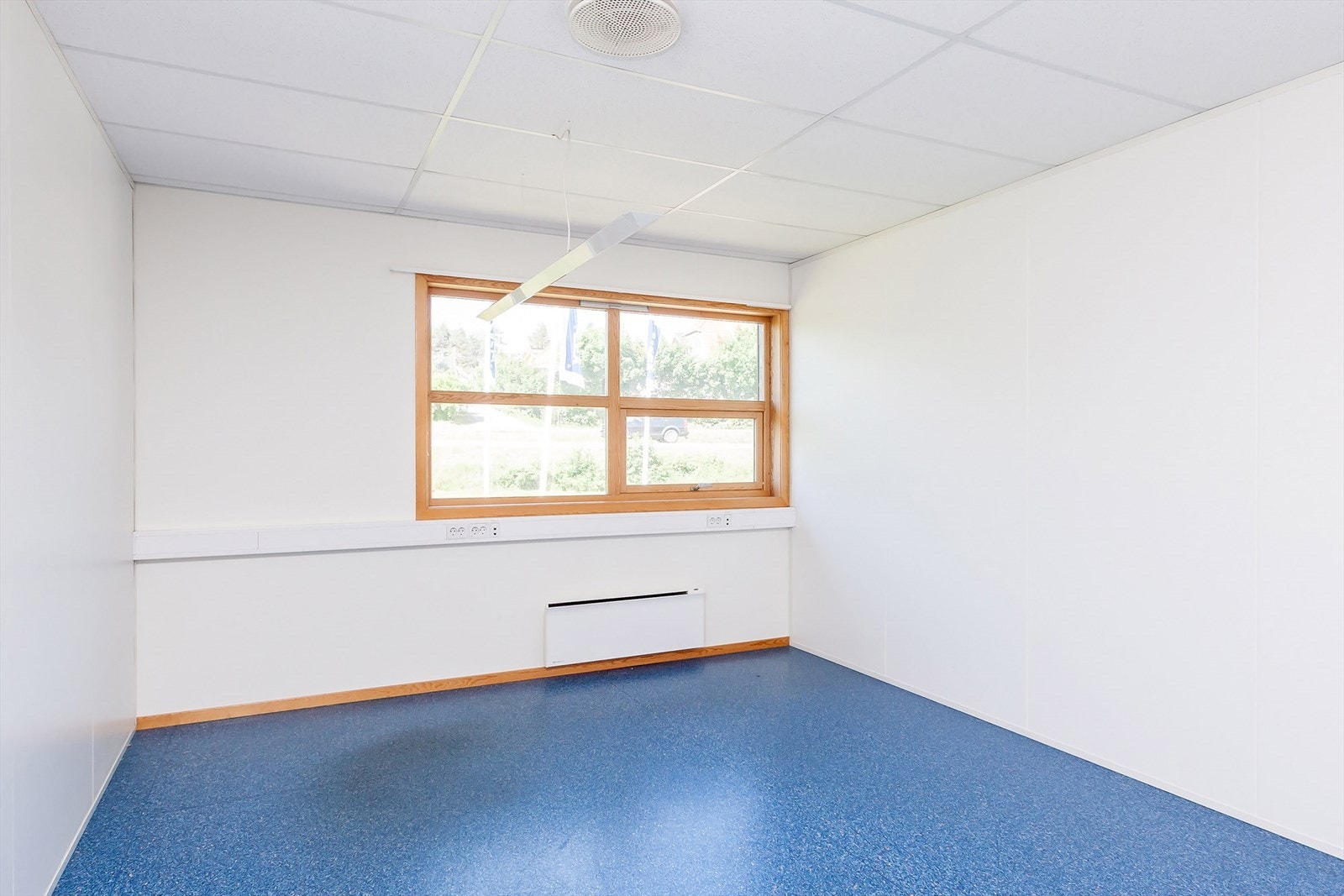 Cellekontor Galleribilde