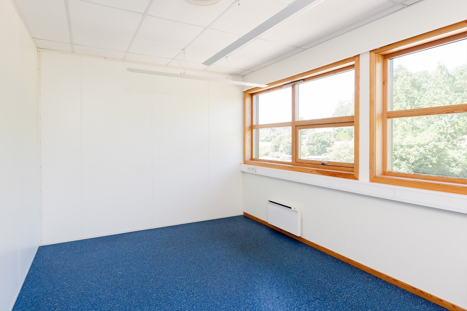 Cellekontor Galleribilde