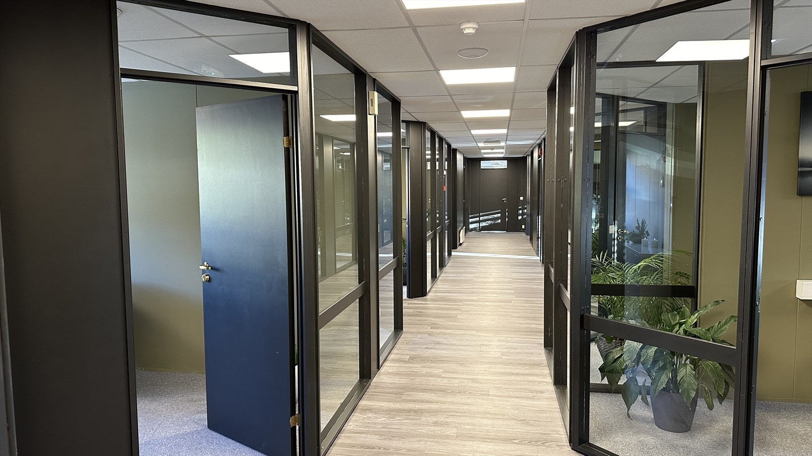 Pent oppussede lokaler Galleribilde