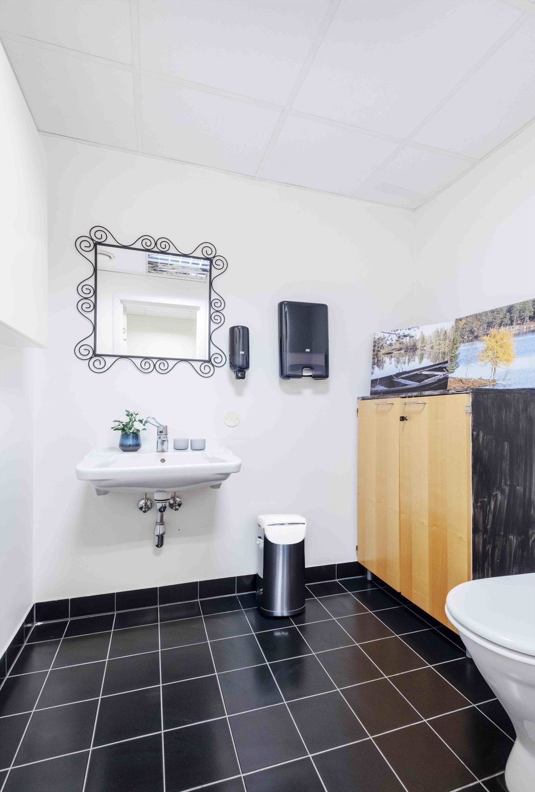 Toalett Galleribilde