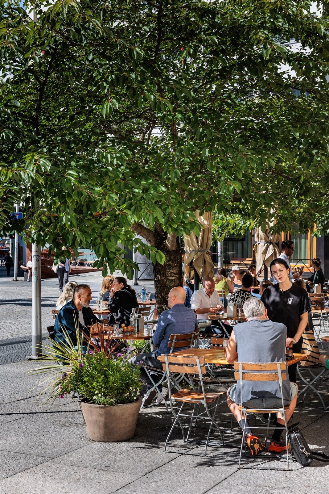 Hyggelig nærområde Galleribilde