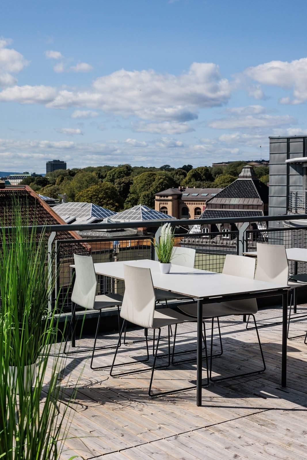 Flott utsyn over takene Galleribilde