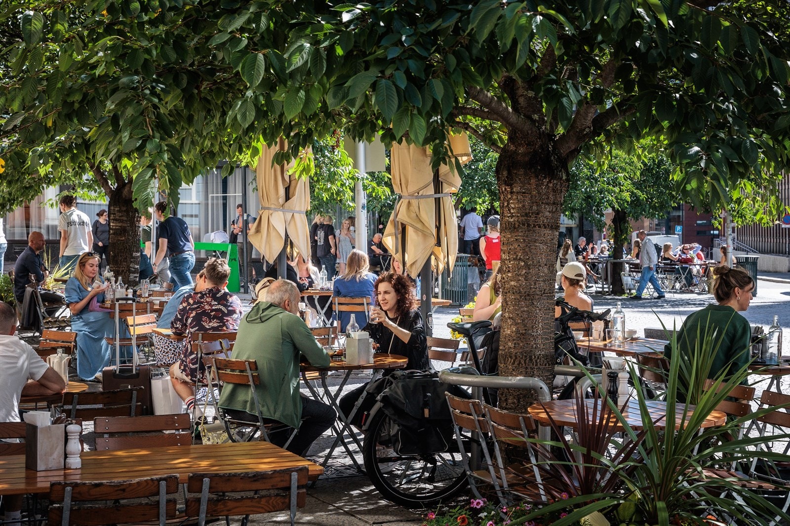 St Olavs plass med en rekke restauranter og barer Galleribilde