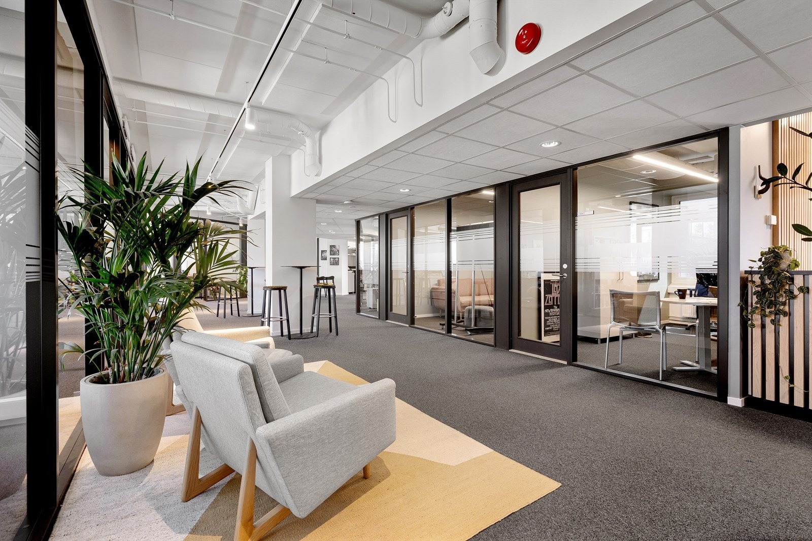 St Olavs gate 28 008.jpg Galleribilde