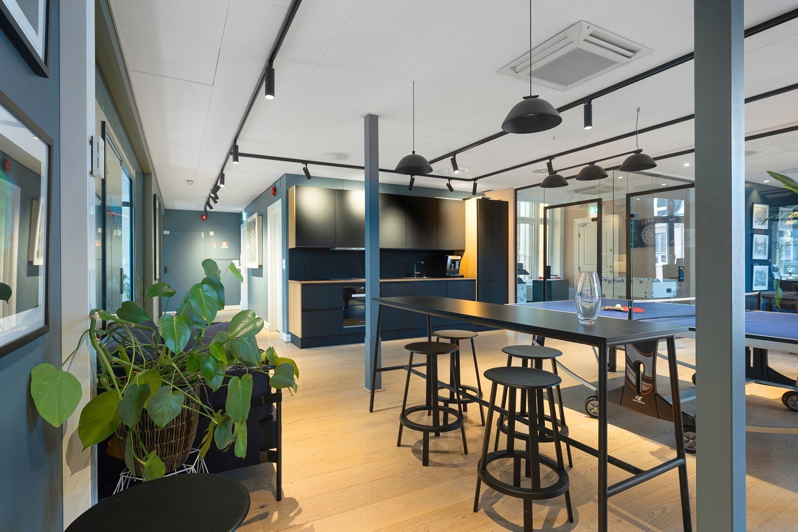 Sosial sone med kjøkken Galleribilde