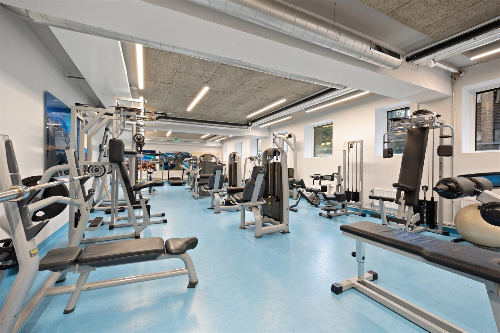 Innspurten 1 - Felles trimrom Galleribilde