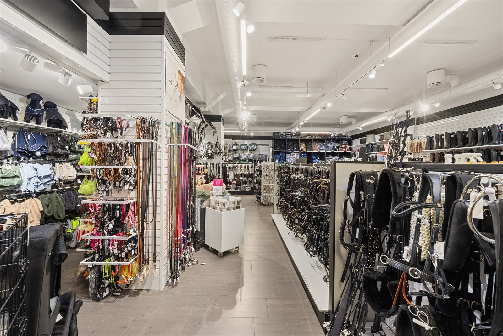 Forretning Galleribilde