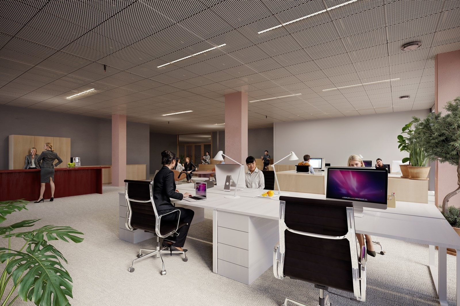 Ovalen næring Galleribilde