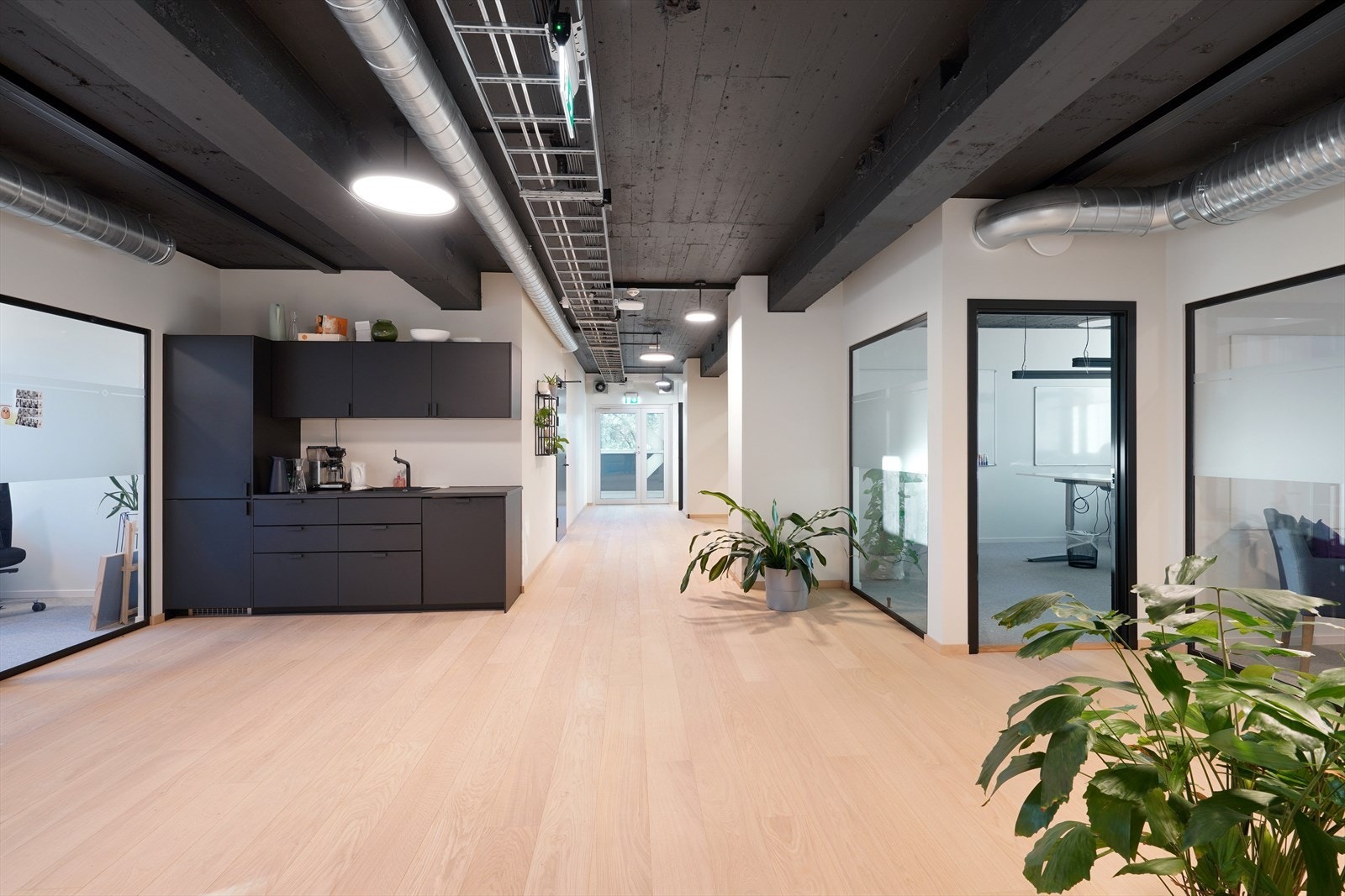 Lys og romslig gang med moderne detaljer, perfekt for et stilrent hjem eller kontor. Store vinduer gir naturlig lys. Galleribilde