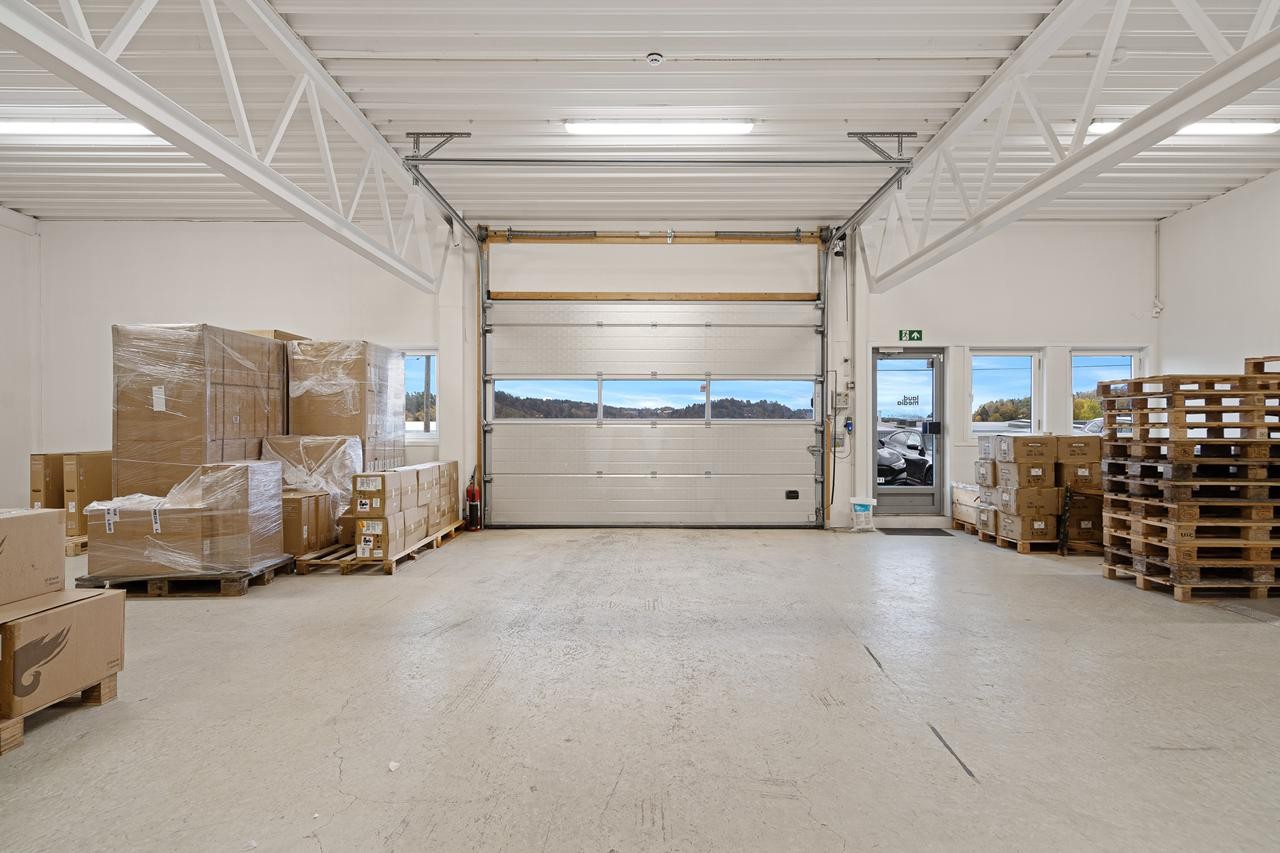 foto-81 Galleribilde