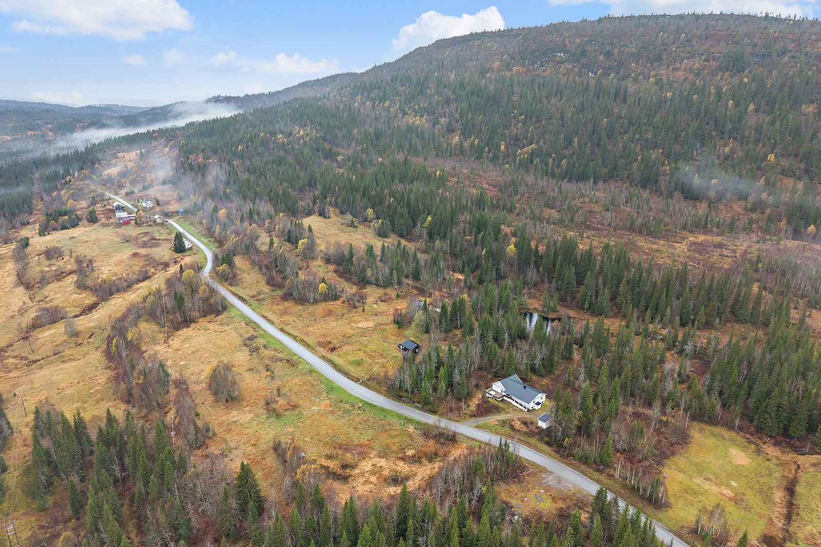 Velkommen på hyggelig visning! Galleribilde
