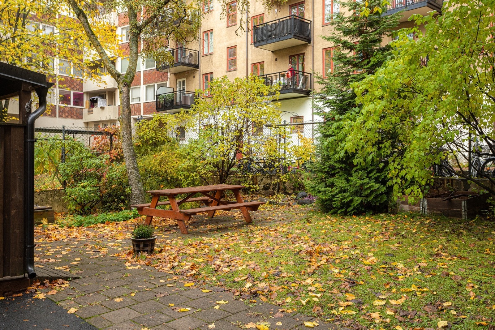 - Tilgang til hyggelig felles bakgård - Galleribilde