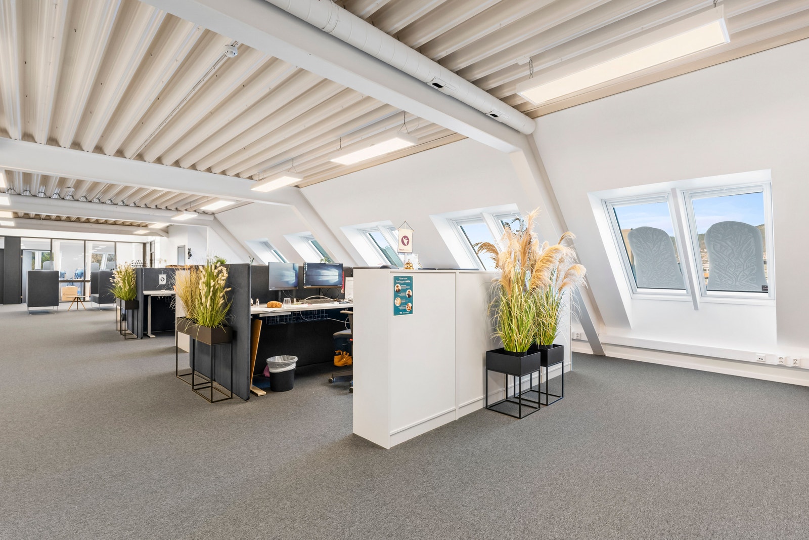 Lyse lokaler med godt lysinnslipp. Galleribilde