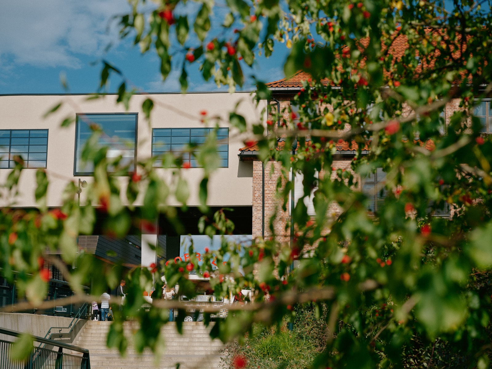 Hyggelige omgivelser Galleribilde