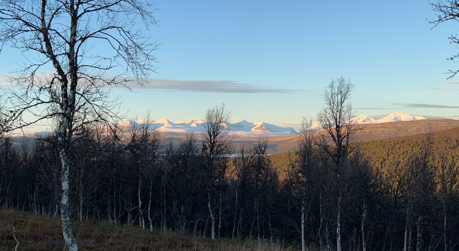 Utsiktsbilde fra tomt 40 Galleribilde