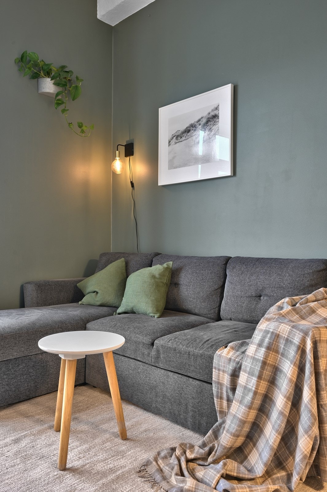 Sofakrok Galleribilde