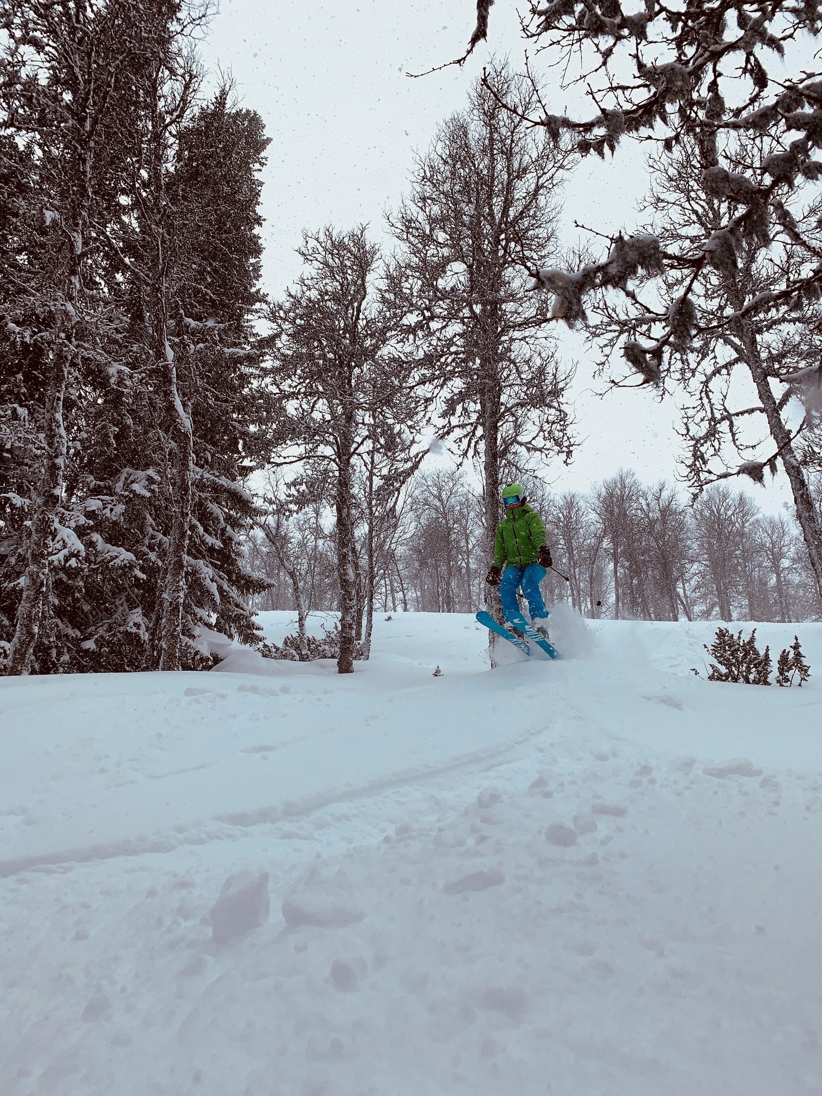 Selgers egne bilder fra området Galleribilde