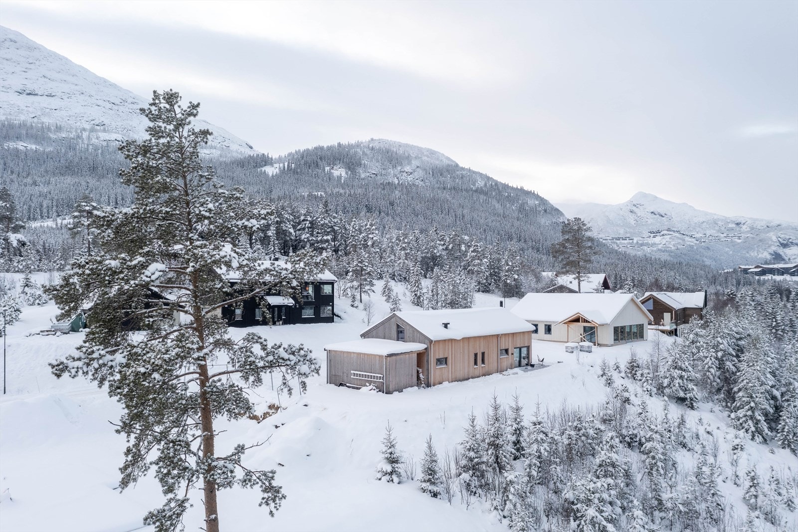 Mot vest, retning skisenteret. Roni, Skarsnuten og Fyri til høyre i bakgrunn. Galleribilde