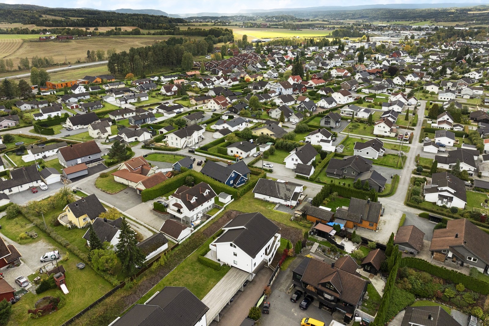 Velkommen til visning! Galleribilde