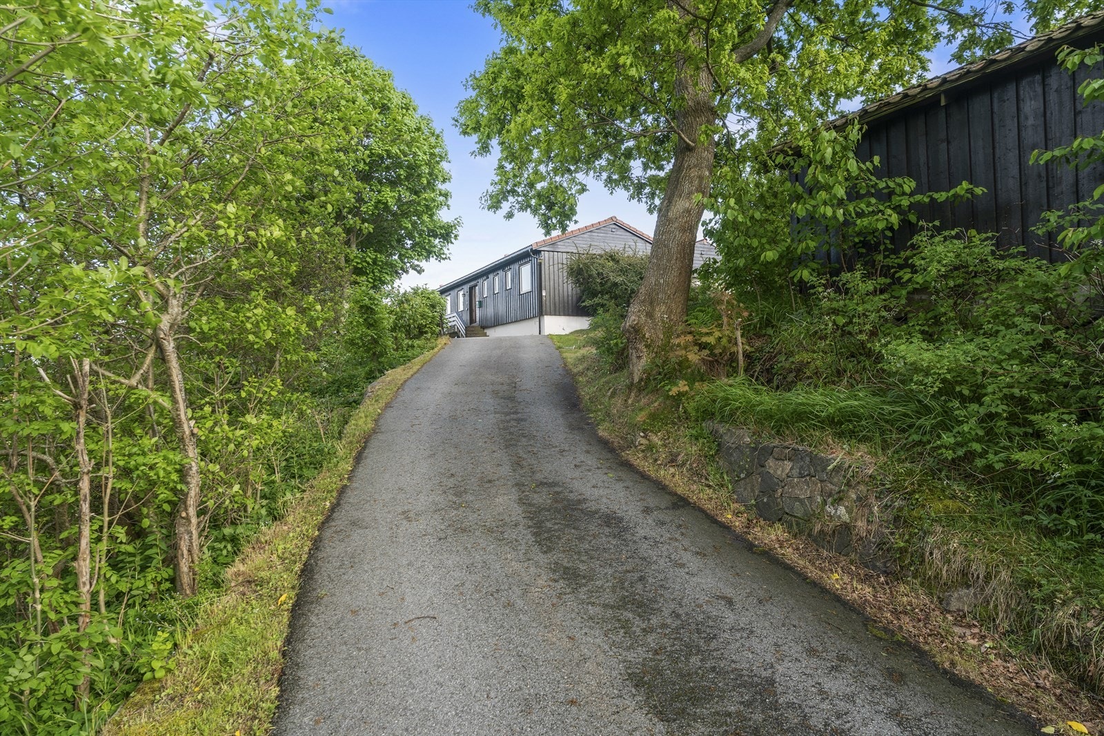 Alfaltert oppkjørsel Galleribilde