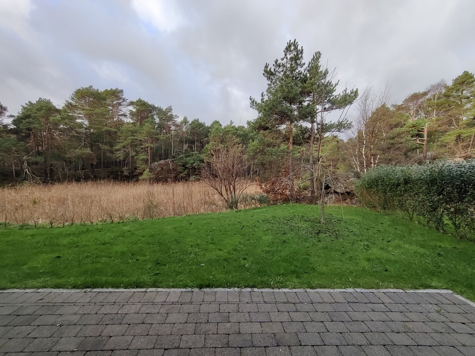 Hage rett på utsiden av praktikantdel mot natur. Dette er også utsikten fra stue/kjøkken og et av soverommene. Galleribilde