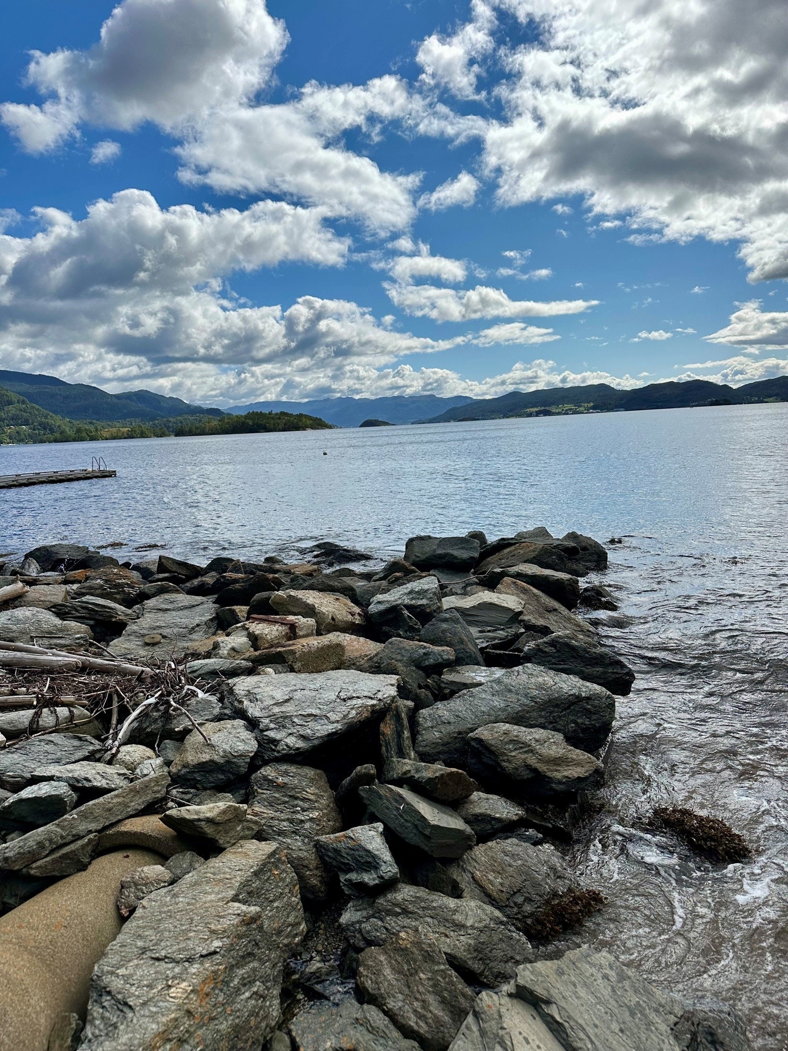 Nausttomt Galleribilde