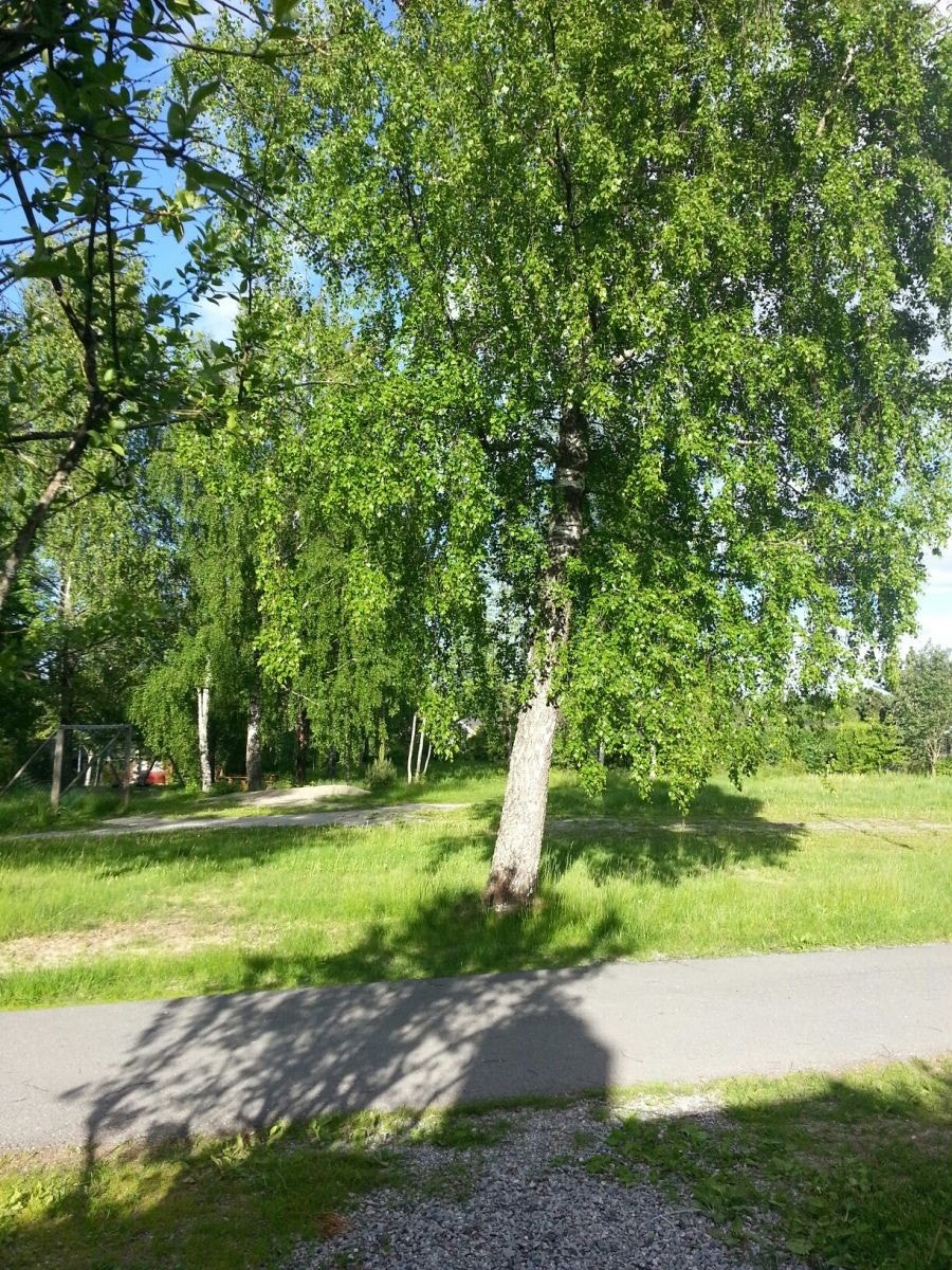 Utsikt fra inngangen. Fellesområder. Galleribilde