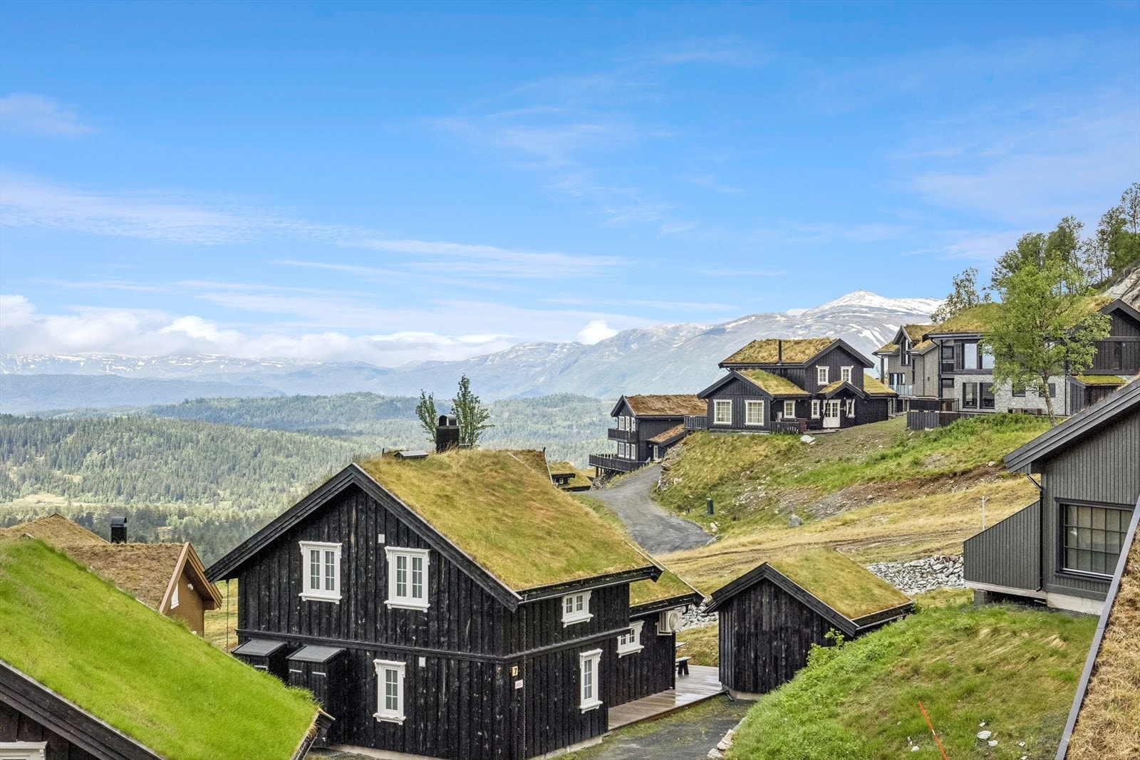 På vinterstid er det ski inn/ut til både langrenn og alpint, og den perfekte start lokasjonen for spennende fjellturer på sommerstid. Galleribilde