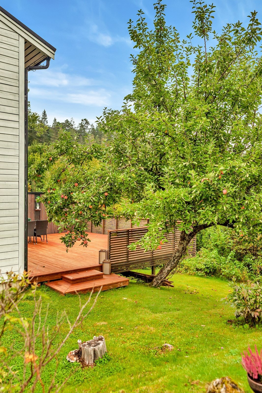 Fra terrassen er det trapp ut i den opparbeidede hagen. Galleribilde