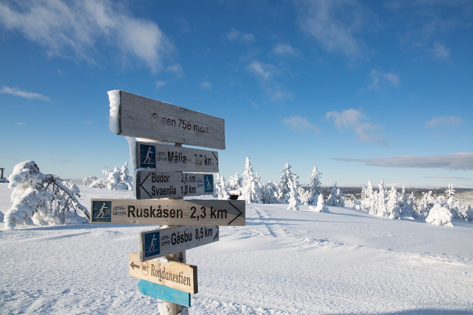 Et solid løypenett for både lengre og kortere turer. Foto: Frederik Garshol. Galleribilde