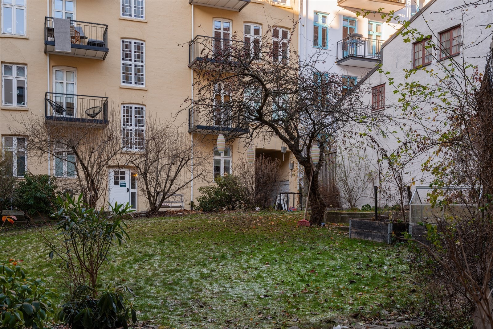 Grønn og hyggelig bakgård Galleribilde