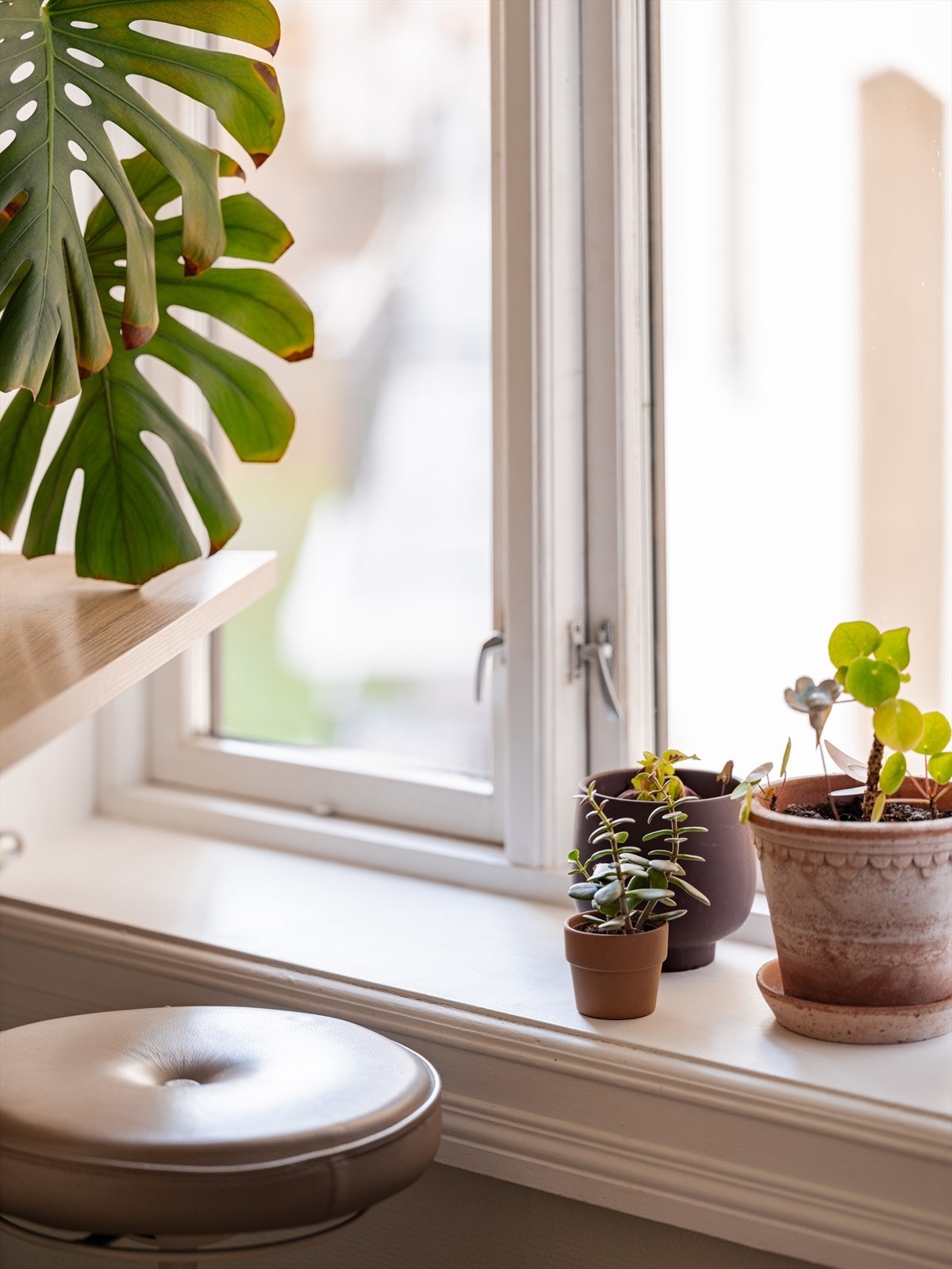 Brede vinduskarmer Galleribilde