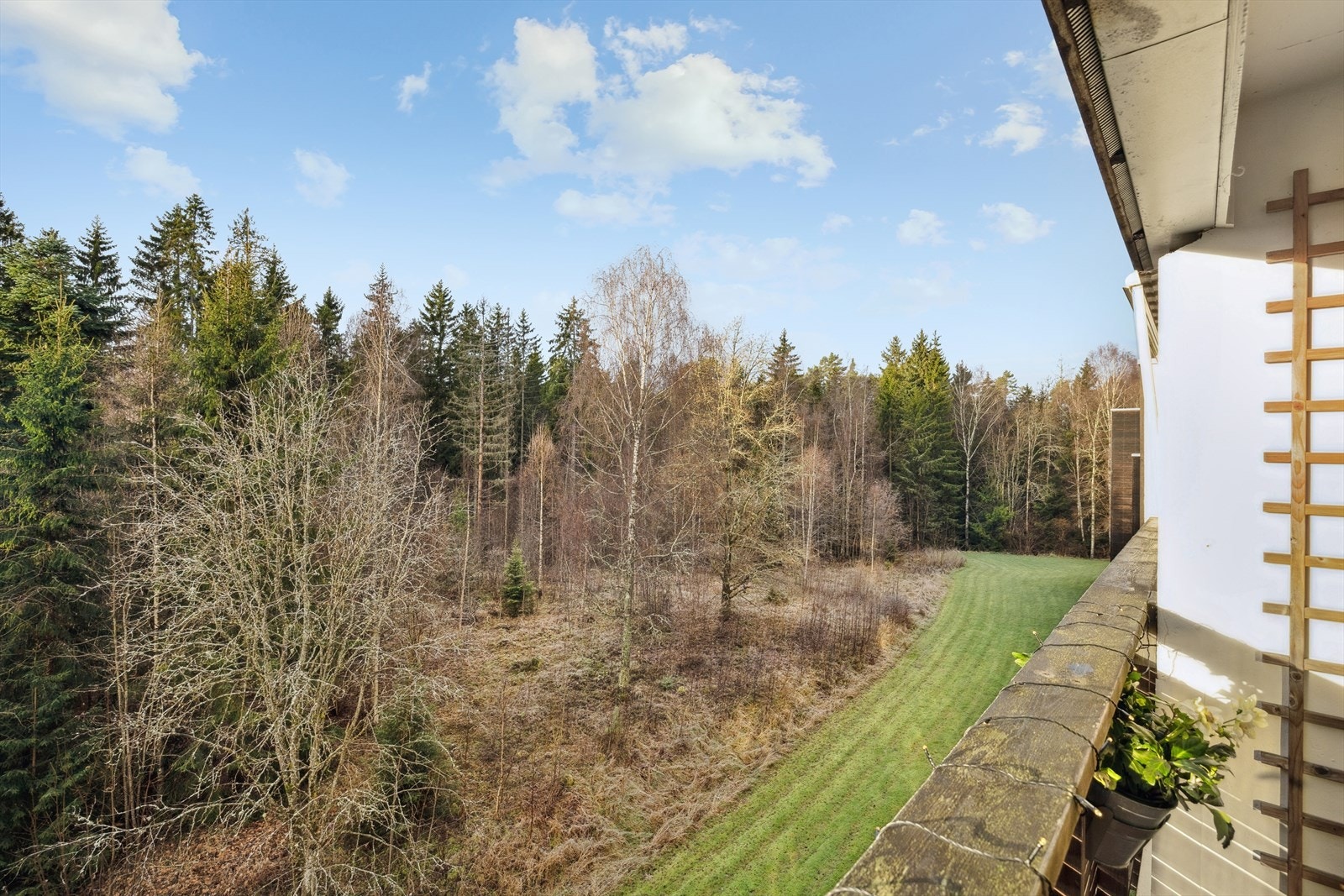 Balkongen gir utsikt mot et naturskjønt område med skog og gressplen. Galleribilde