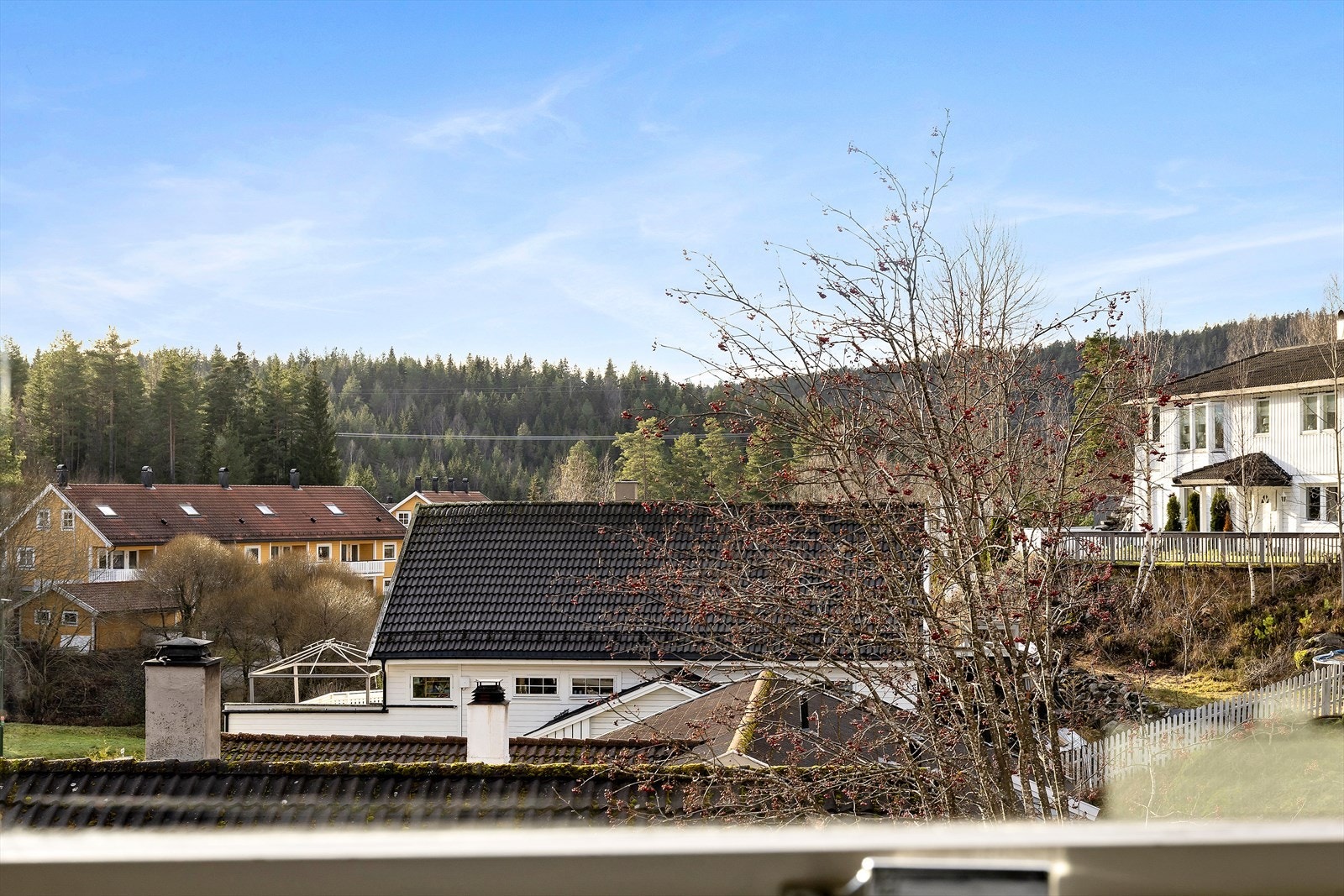 Utsikt. Galleribilde