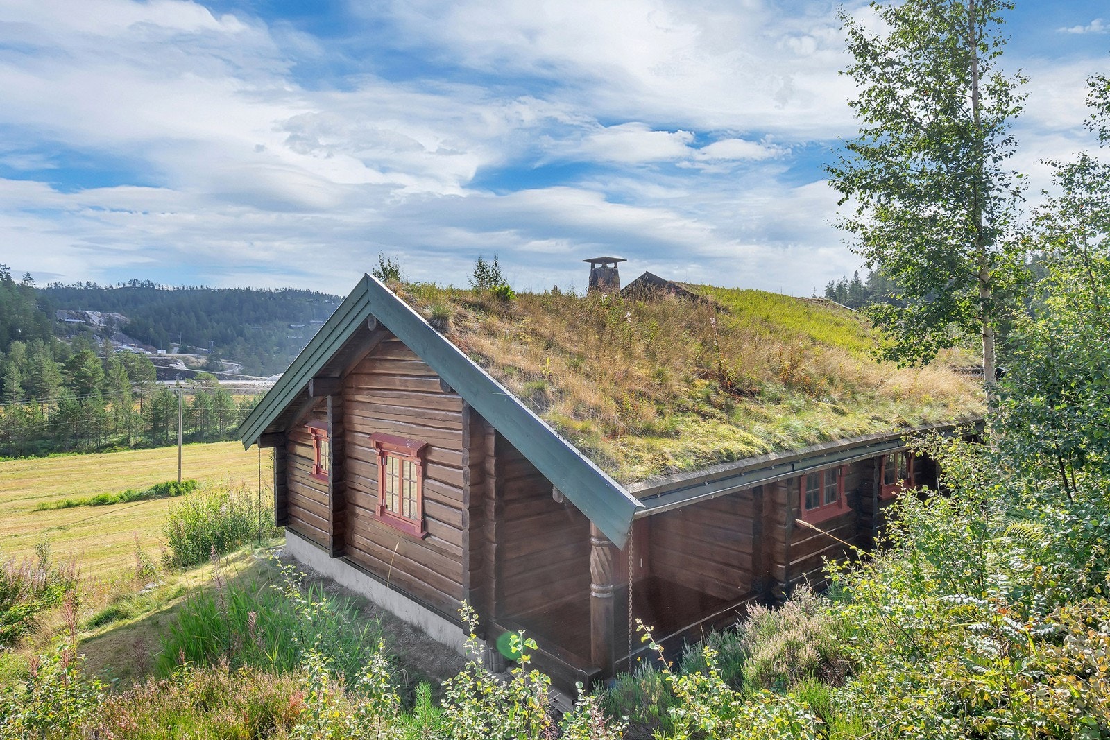 Flott og innholdsrik laftet hytte på Bortelid! Galleribilde