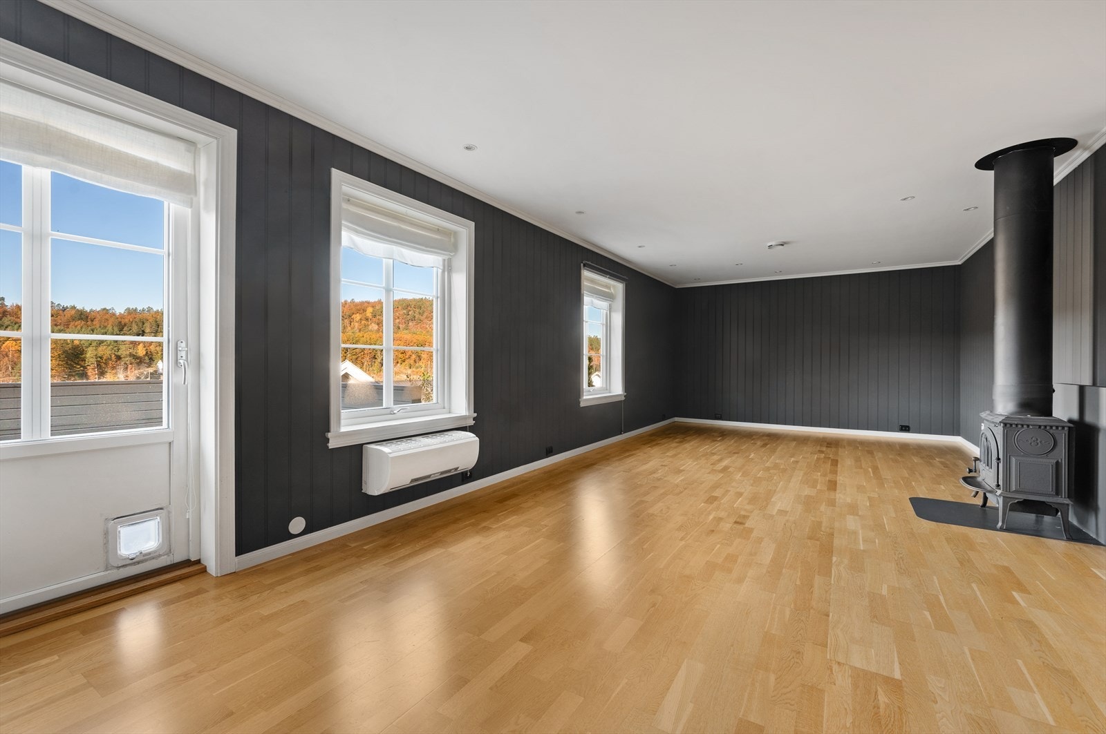 Romslig stue med peisovn montert i 2017 Galleribilde