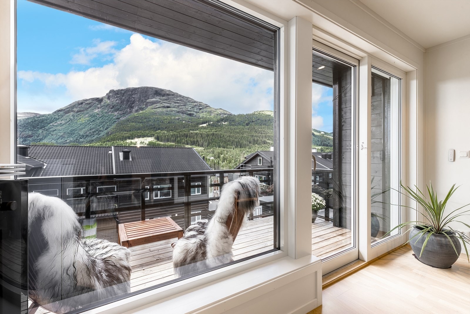 Store vinduer gir godt dagslys i leiligheten Galleribilde