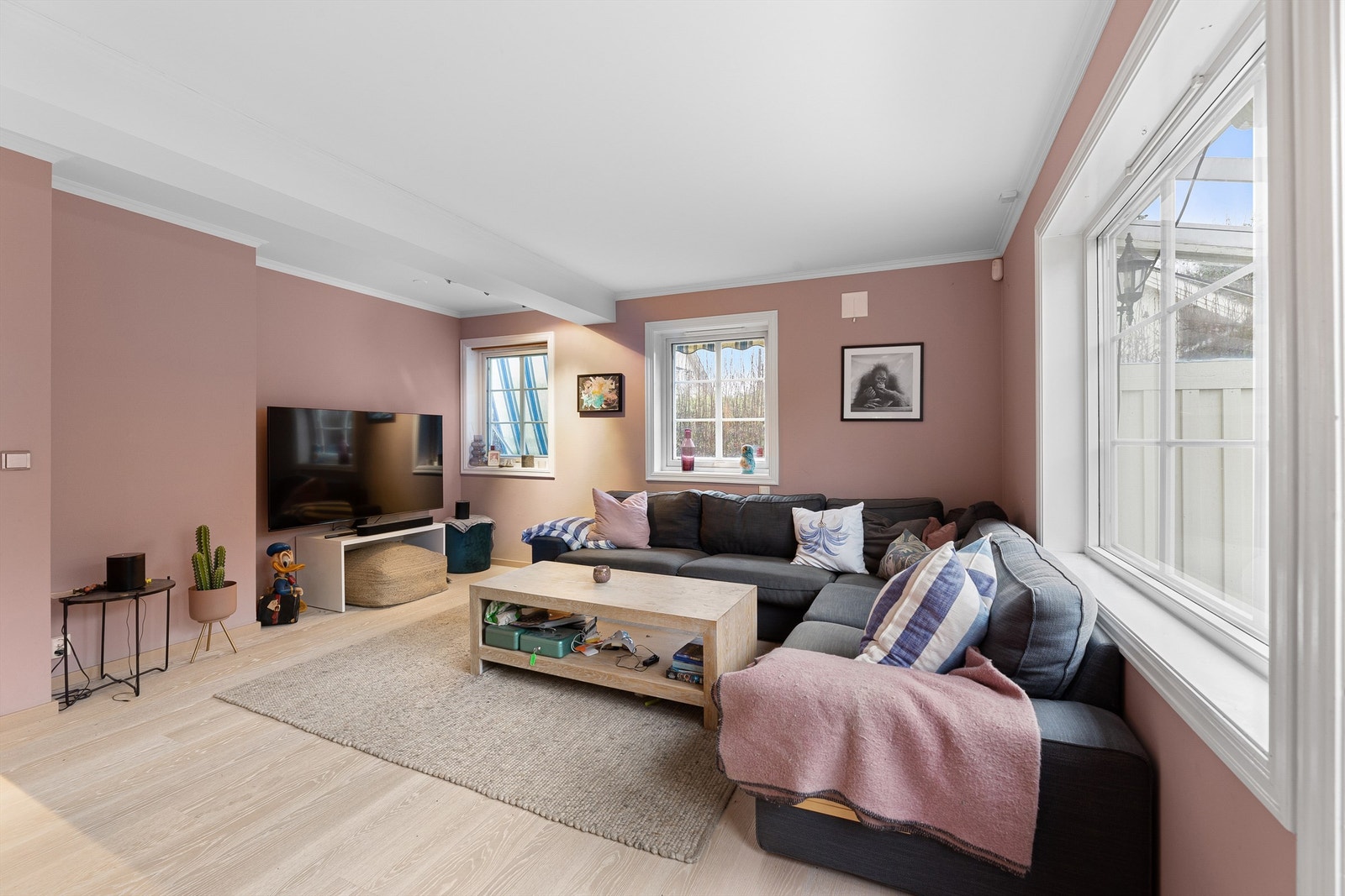 Det er sentralstøvsuger i boligen Galleribilde