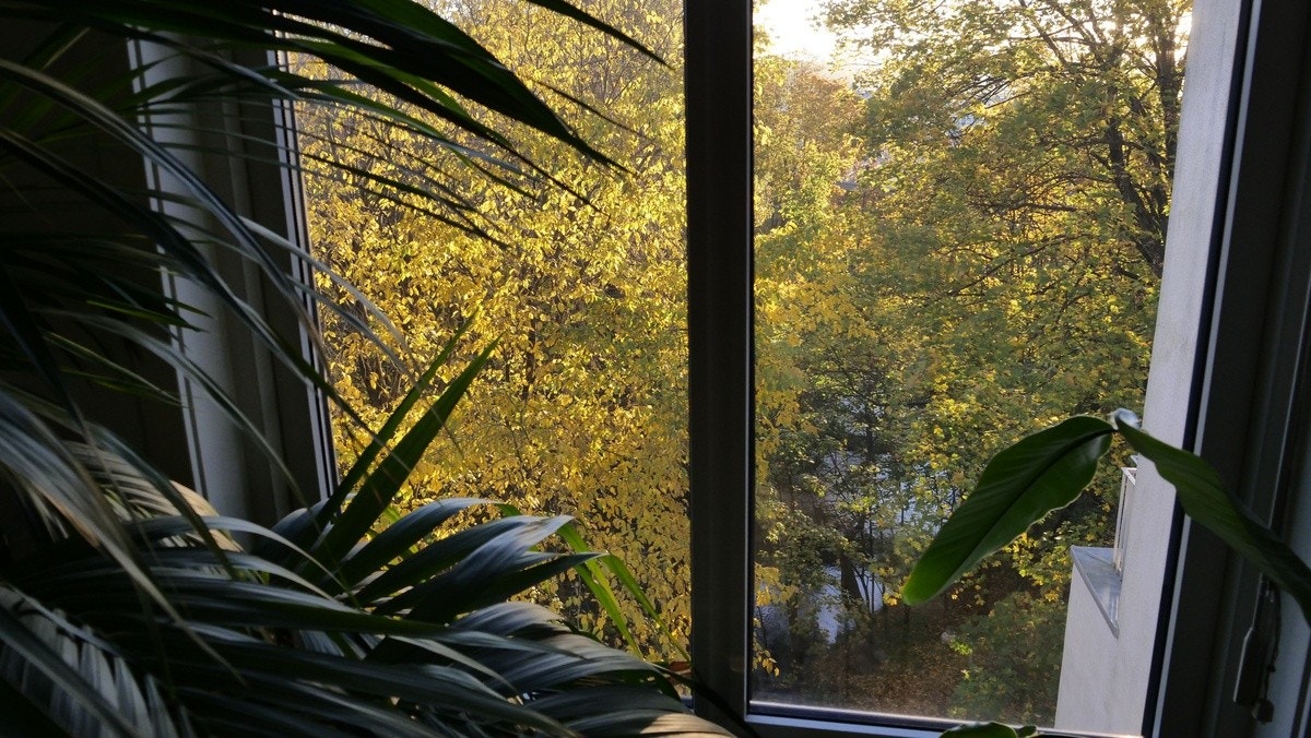 Utsikt stue Galleribilde