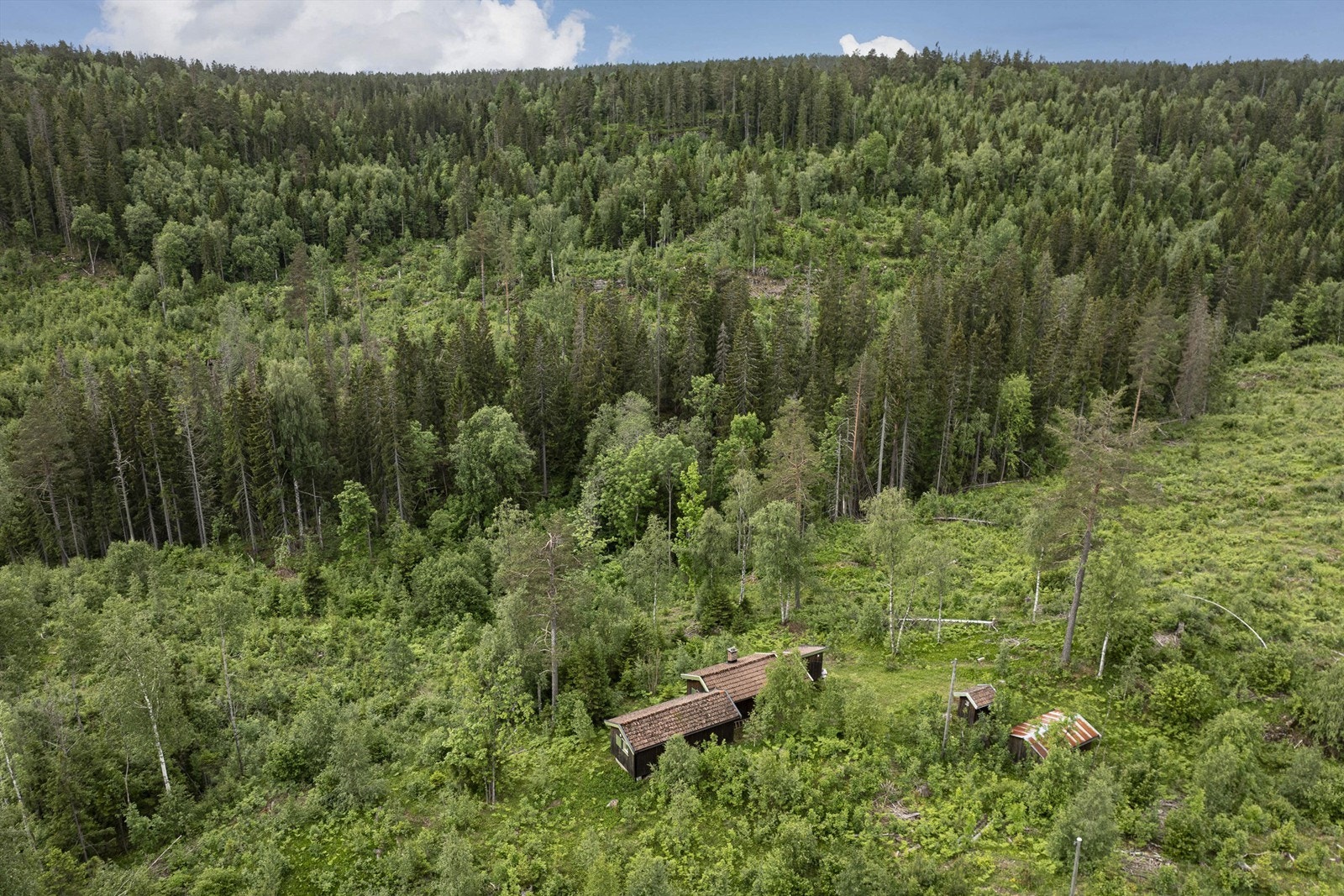 Om vinteren er det enkel tilgang til det omfattende skiløypenettet på Konnerud med flere turisthytter Galleribilde
