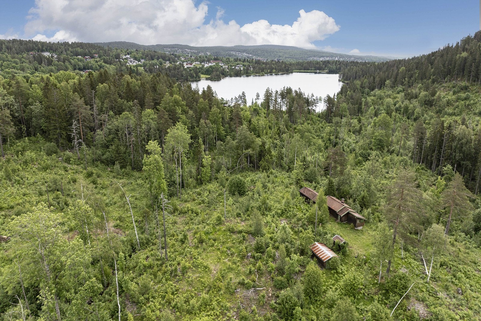 Hytte med alt på ett plan. Foto: Morten Woldstad Galleribilde