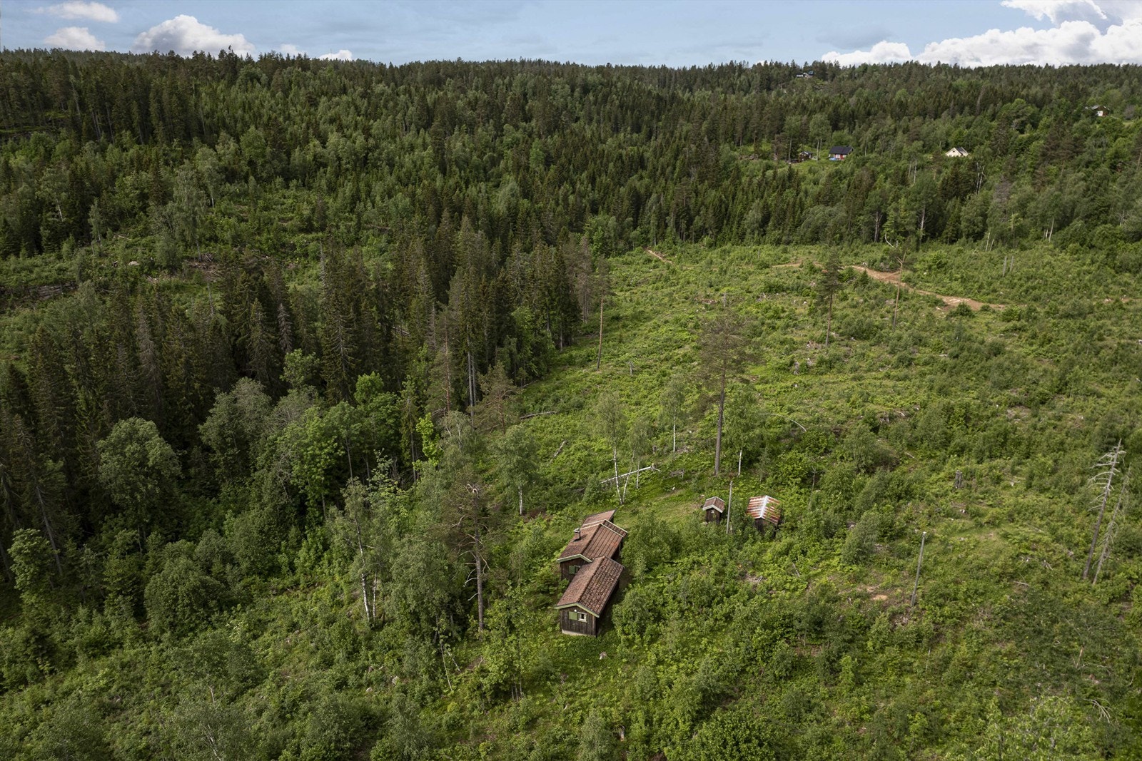 Hytta er usjenert og det er god avstand til nærmeste nabo Galleribilde